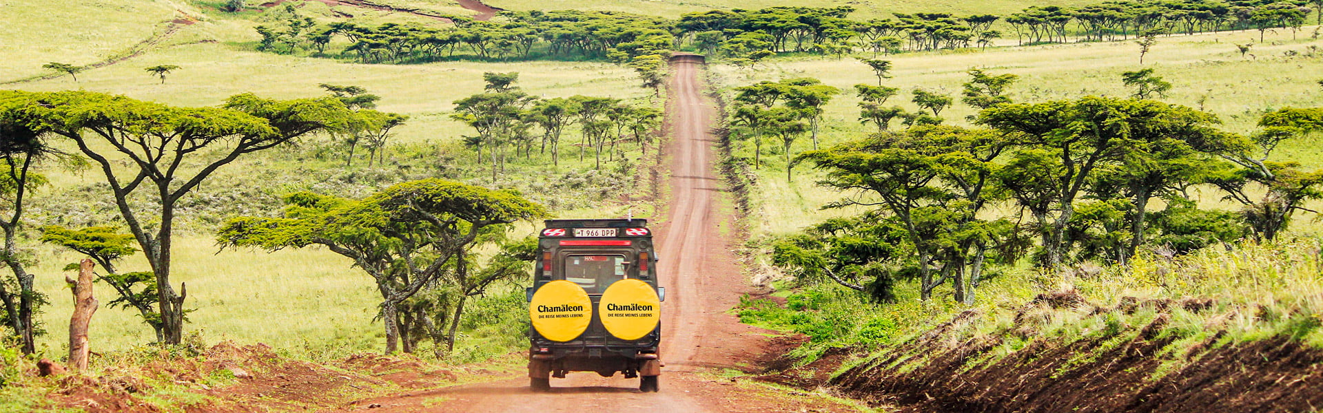 Fahrt durch den Ngorongoro-Krater |  Leonard Lehne / Chamleon