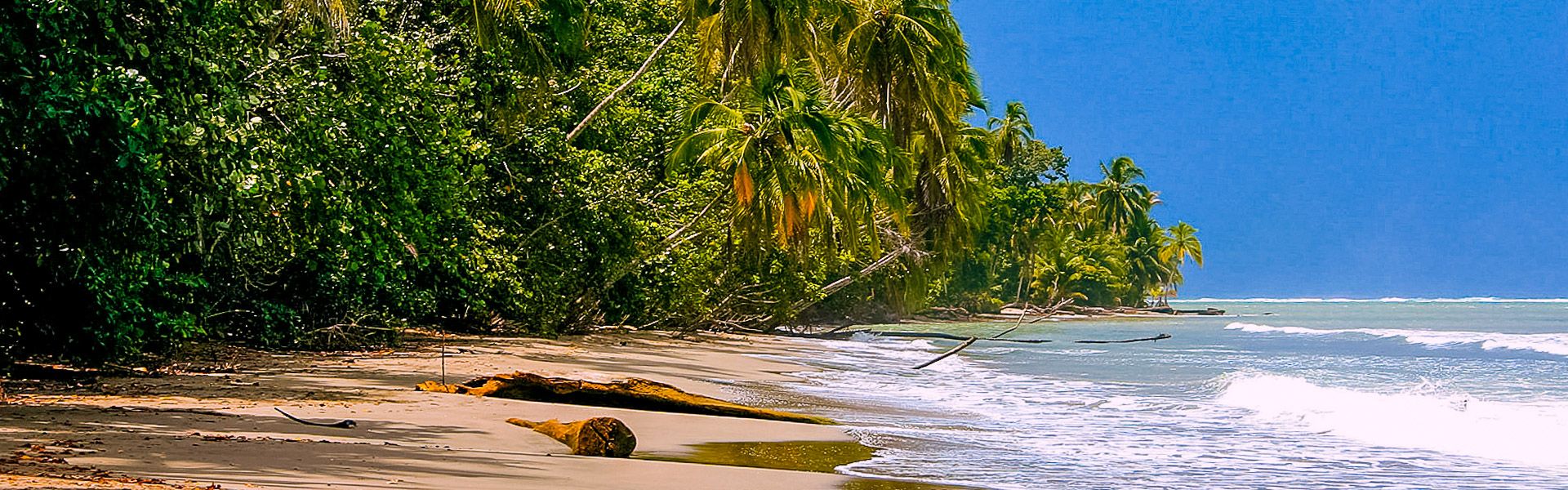 Strand an der Karibik-Kste |  Jrgen Peters / Chamleon