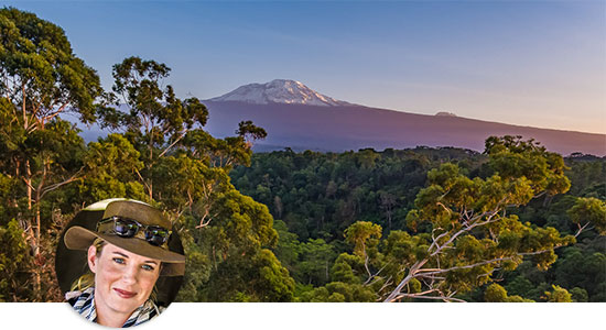 Kilimanjaro (© Kaliwa Lodge / Chamäleon)