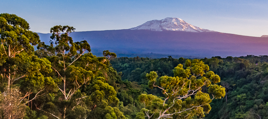 Blick auf den Kilimanjaro (© Kaliwa Lodge / Chamäleon)
