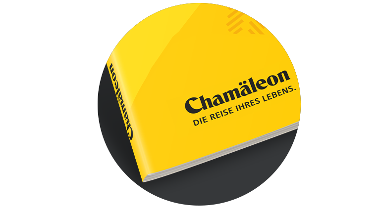 Katalog 2020 (mit DVD) (© Chamäleon)