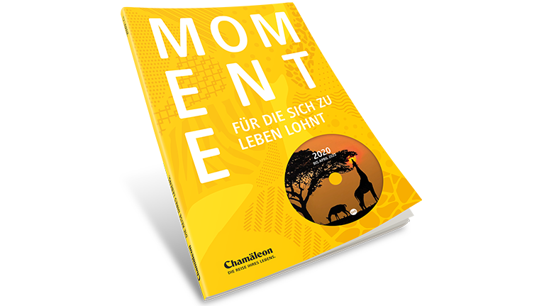 Katalog 2020 (mit DVD) (© Chamäleon)