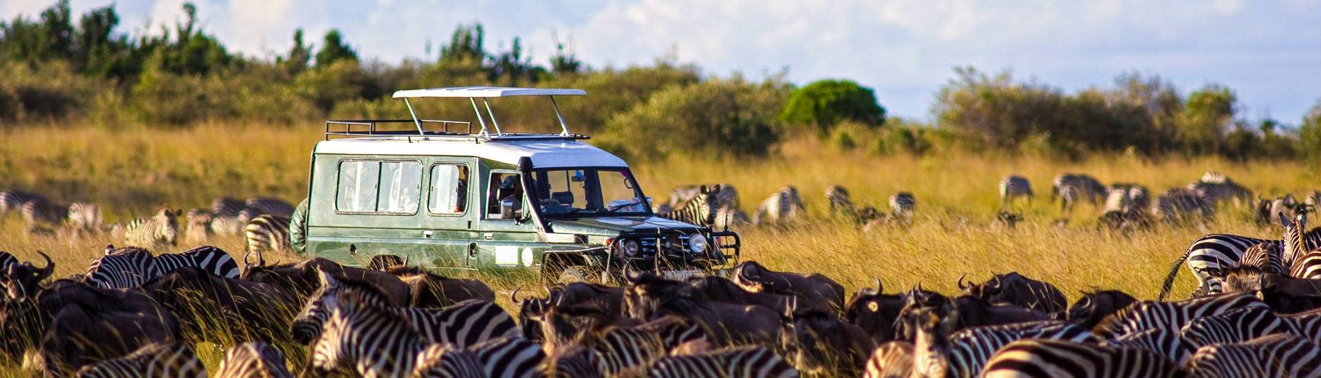 Safari-Fahrzeug umgeben von Zebras und Gnus in der Masai Mara (© William Davies, iStockphoto.com / Chamäleon) Safari-Fahrzeug umgeben von Zebras und Gnus in der Masai Mara (© William Davies, iStockphoto.com / Chamäleon)