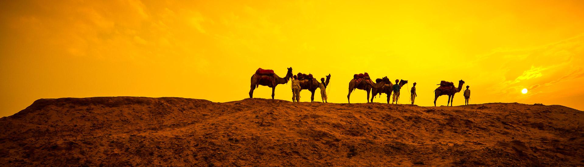 Kamel-Safari in der Wüste (© Nikada, iStockphoto / Chamäleon) Kamel-Safari in der Wüste (© Nikada, iStockphoto / Chamäleon)