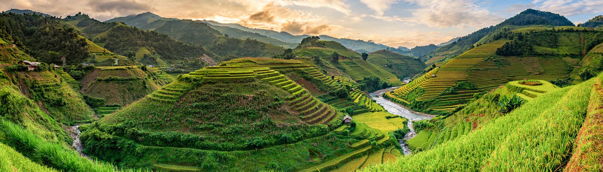 Grüne Reisterrassenfelder in Mu Cang Chai (© chanwity, iStockphoto.com / Chamäleon) Grüne Reisterrassenfelder in Mu Cang Chai (© chanwity, iStockphoto.com / Chamäleon)