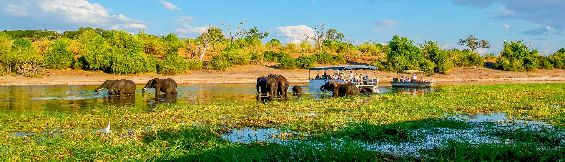 Bootssafari im Chobe Nationalpark (© Kai-Uwe Küchler, Art & Adventure / Chamäleon) Bootssafari im Chobe Nationalpark (© Kai-Uwe Küchler, Art & Adventure / Chamäleon)