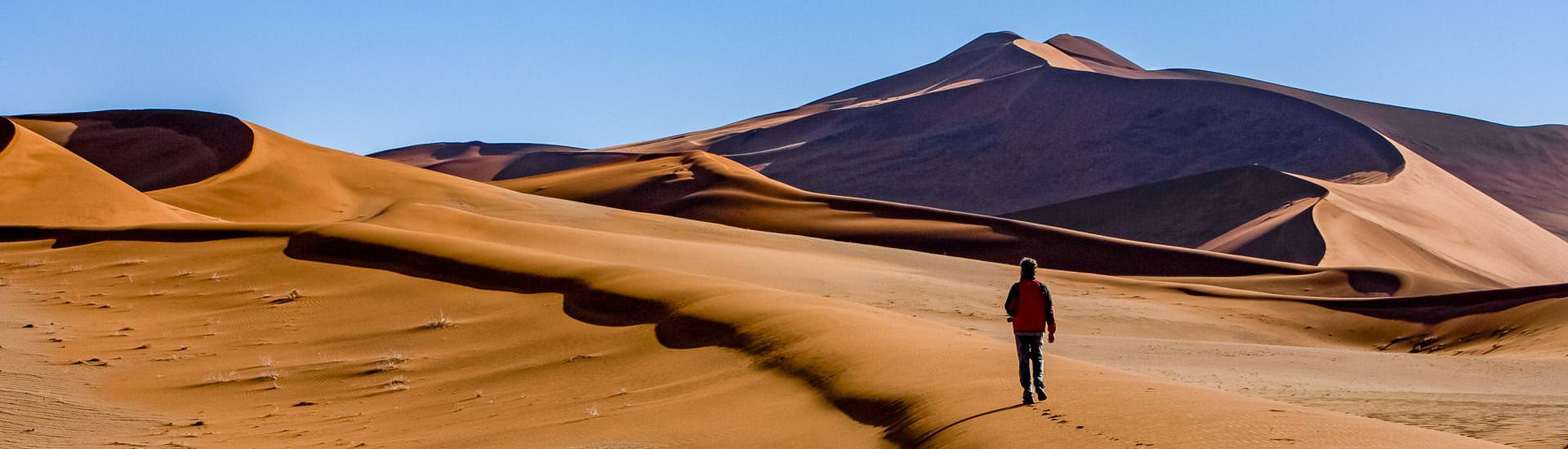 In der Namib (© Reiner Harscher, Panoramavision / Chamäleon) In der Namib (© Reiner Harscher, Panoramavision / Chamäleon)