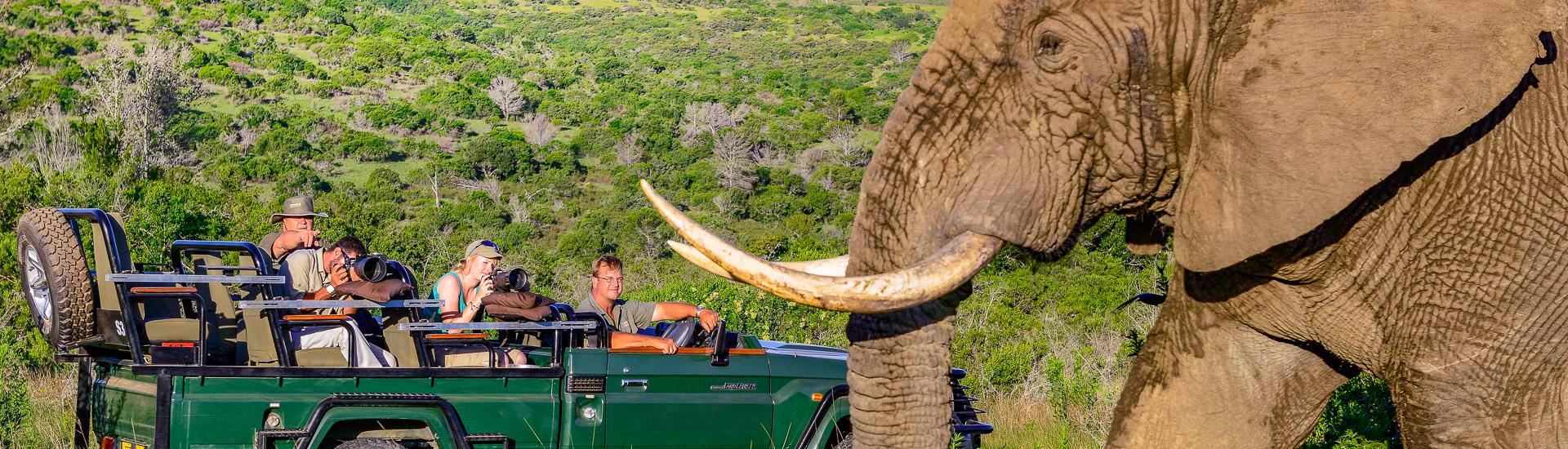 Südafrika und Eswatini Krüger Afrika Wunderwelten-Reisen bis höchstens 12 Teilnehmer Südafrika und Eswatini Krüger Afrika Wunderwelten-Reisen bis höchstens 12 Teilnehmer