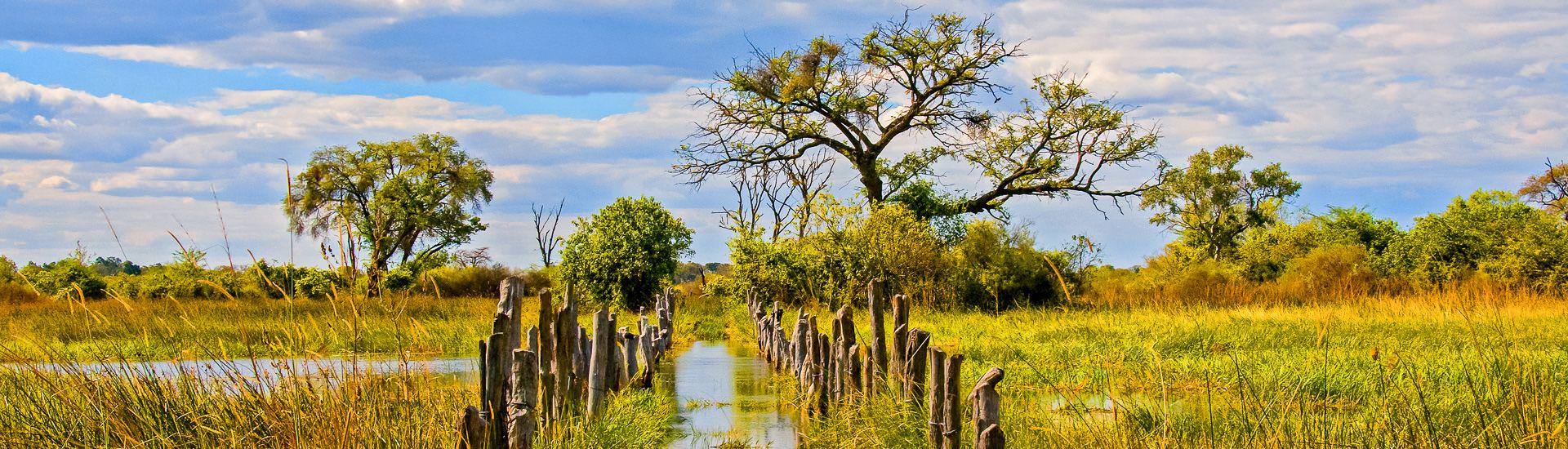 Im Okavango Delta |  Gutjahr / Chamleon
