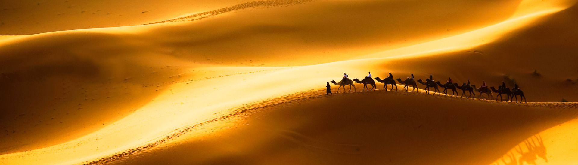 Kamelkarawane in den Sanddnen Erg Chebbi, Sahara |  Roberto Caucino, iStockphoto.com / Chamleon