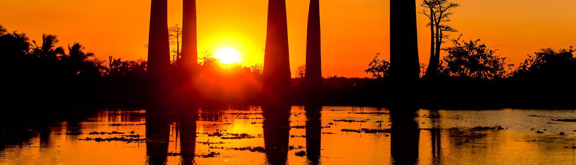 Baobab im Abendlicht | © Karim Nari, FVA RM / Chamäleon