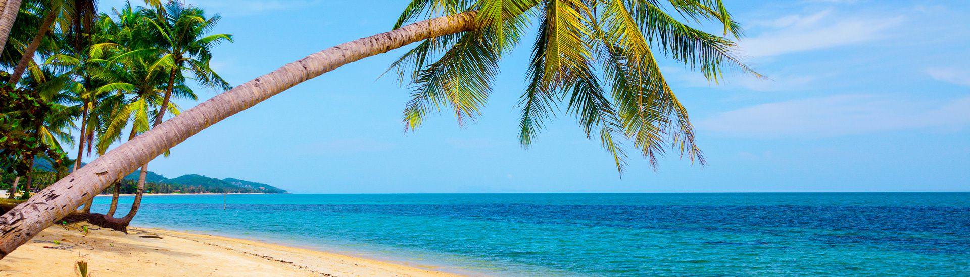 Traumstrand |  Hydromet, iStockphoto.com / Chamleon