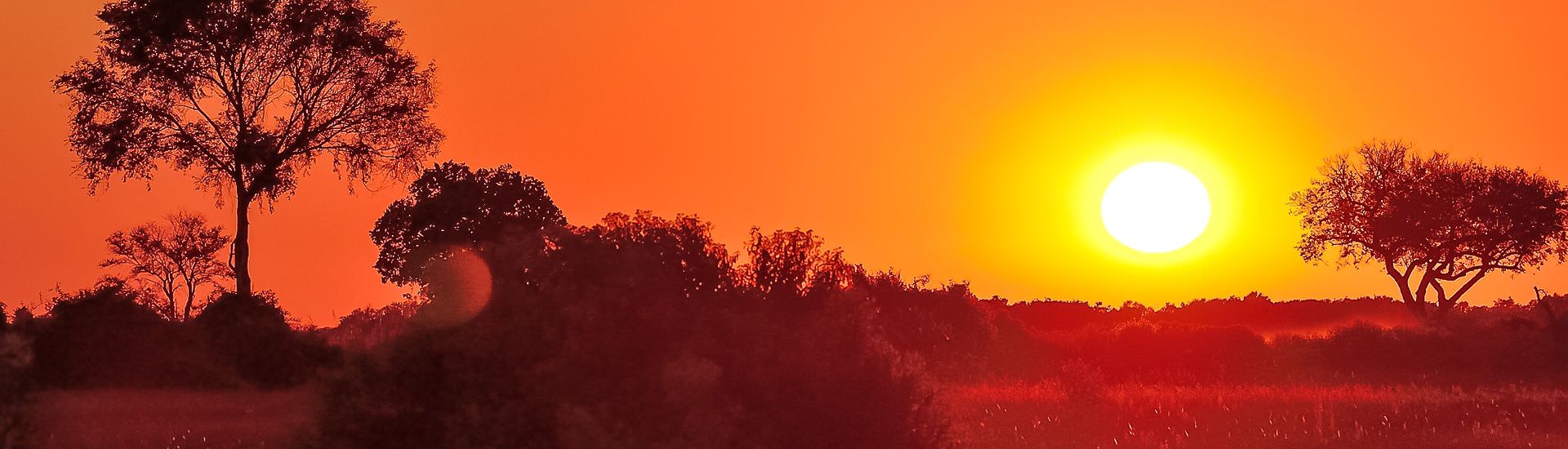 Der frhe Morgen im Moremi-Wildreservat |  Thomas Brahtel / Chamleon