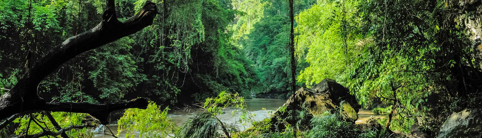 Reserva Natural Ro Claro |  Georg Rubin, KonTour Travel / Chamleon