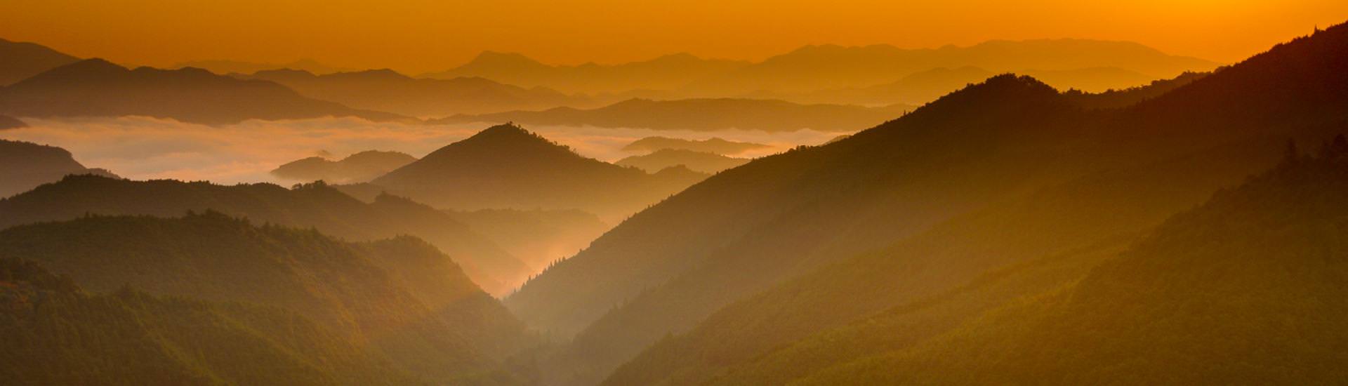 Panorama Kumano Kodo |  FVA Japan / Chamleon