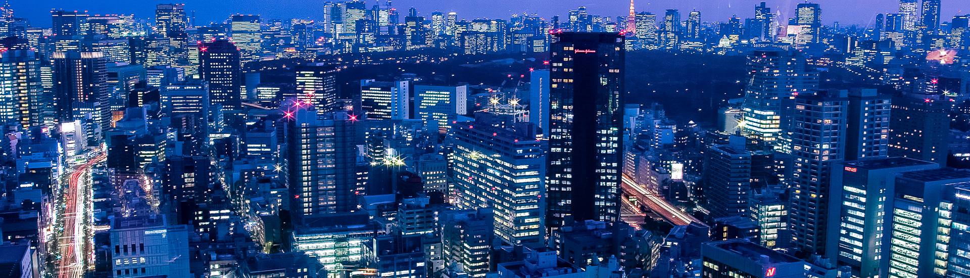 Skyline von Tokyo |  FVA Japan / Chamleon