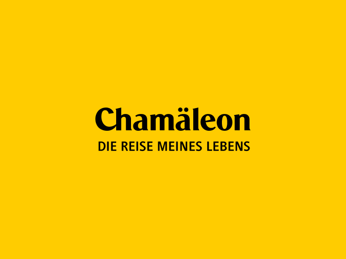 CHA-Logo auf Gelb | © Chamäleon