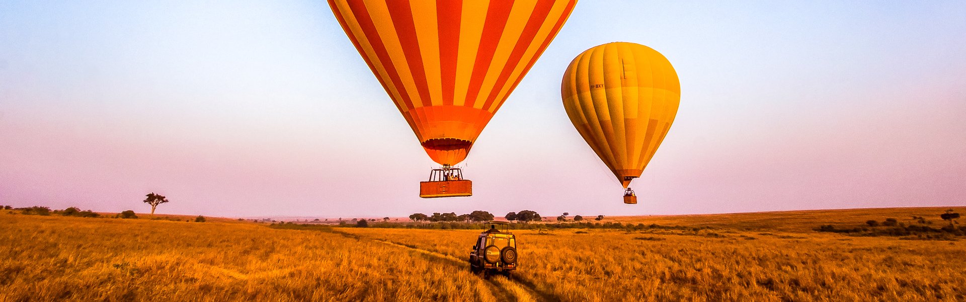 Ballonsafari | © WLDavies, iStockphoto.com / Chamäleon
