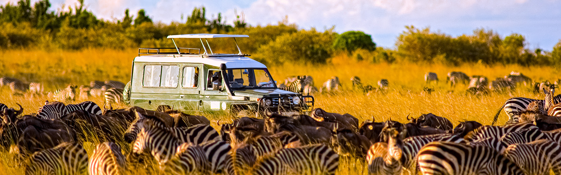 Safari-Fahrzeug umgeben von Zebras und Gnus in der Masai Mara |  William Davies, iStockphoto.com / Chamleon