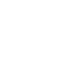 Icon Soziale Projekte |  Chamleon