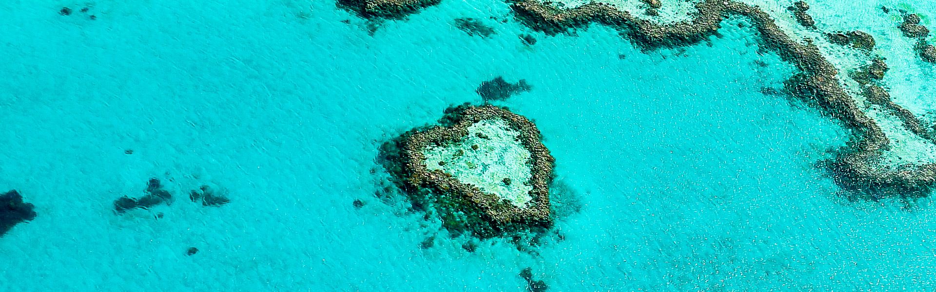 Heart Reef - Great Barrier Reef | © Martin Wasilewski / Chamäleon