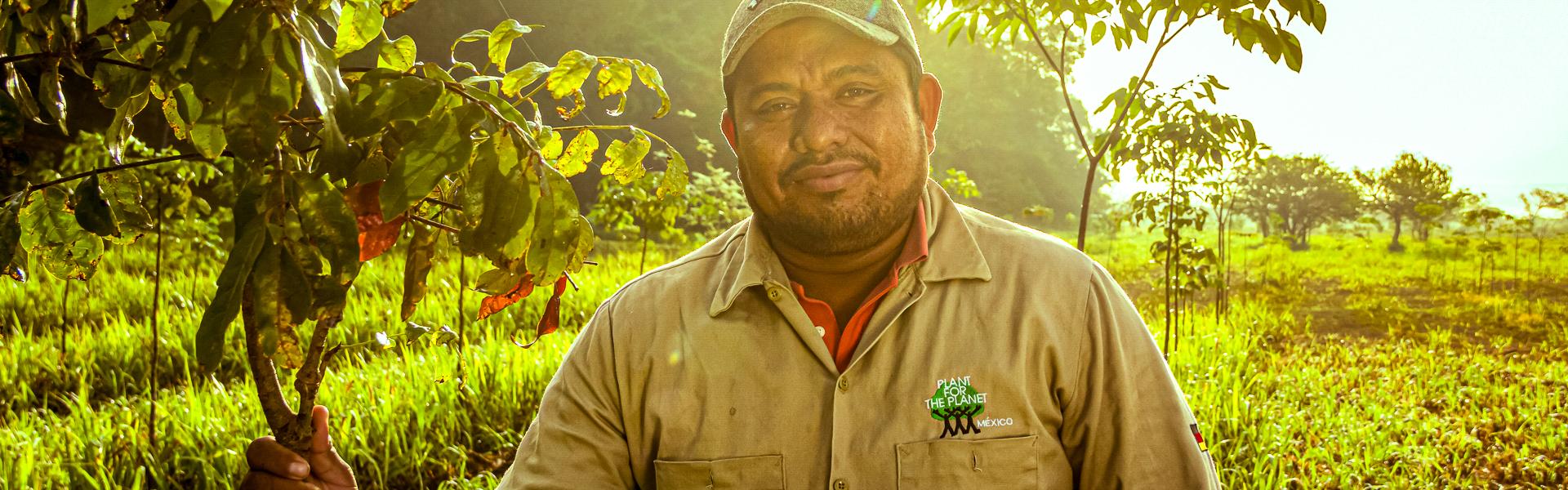 Waldarbeiter in Mexiko mit jungem Baum |  Plant for the Planet / Chamleon