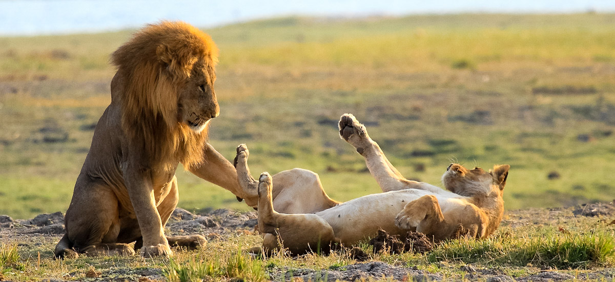  Botswana, Simbabwe und Namibia Moremi Afrika Erlebnis-Reisen