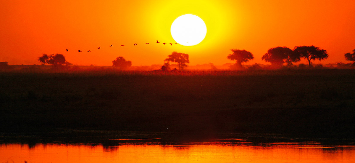  Botswana, Simbabwe und Namibia Moremi Afrika Erlebnis-Reisen