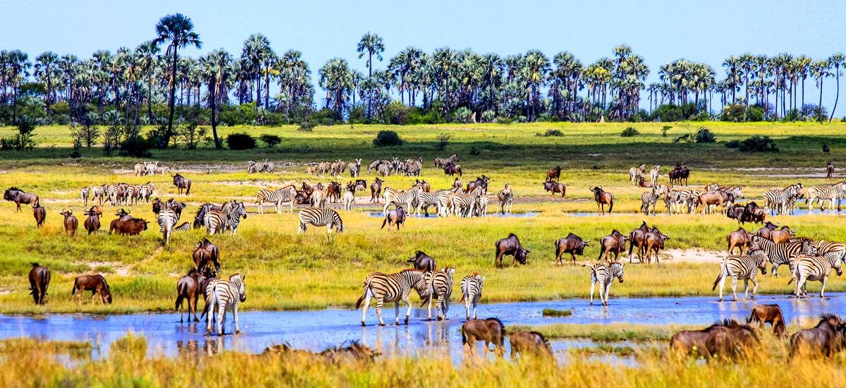  Botswana, Simbabwe und Namibia Okavango Afrika Erlebnis-Reisen