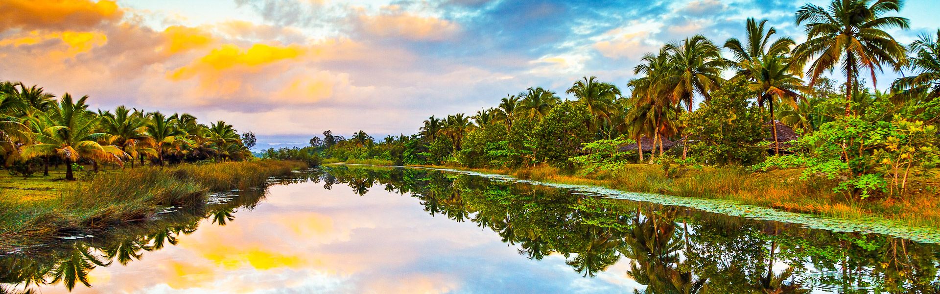 Palmen spiegeln sich im Wasser |  dennisvdw, iStockphoto.com / Chamleon