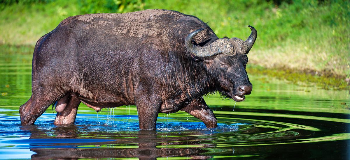  Botswana, Namibia und Simbabwe Caprivi Afrika Erlebnis-Reisen