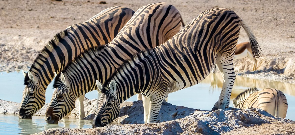  Botswana, Namibia und Simbabwe Caprivi Afrika Erlebnis-Reisen
