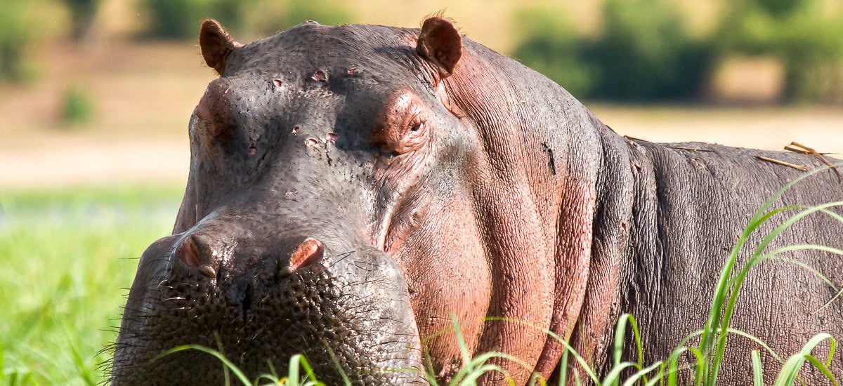  Botswana, Namibia und Simbabwe Caprivi Afrika Erlebnis-Reisen