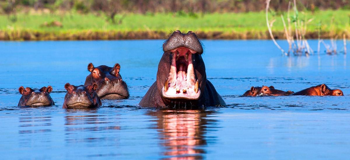  Namibia, Botswana, Simbabwe und Südafrika Limpopo Afrika Erlebnis-Reisen