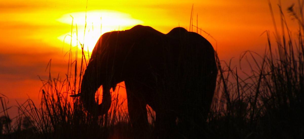  Namibia, Botswana, Simbabwe und Südafrika Limpopo Afrika Erlebnis-Reisen