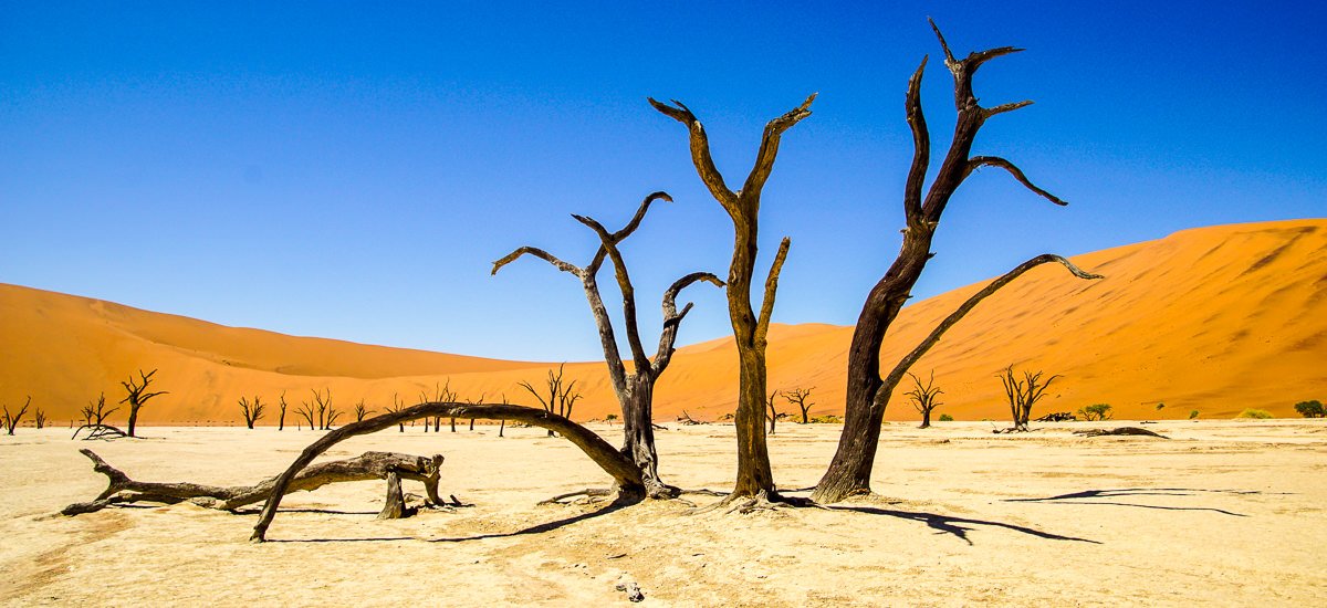  Namibia Sossusvlei Afrika Erlebnis-Reisen