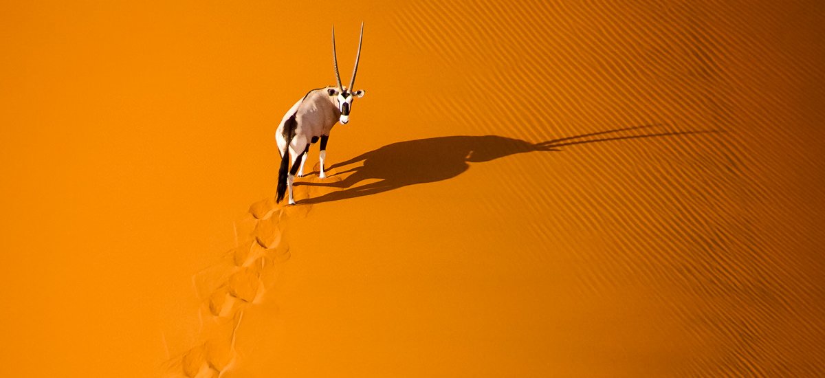  Namibia Sossusvlei Afrika Erlebnis-Reisen