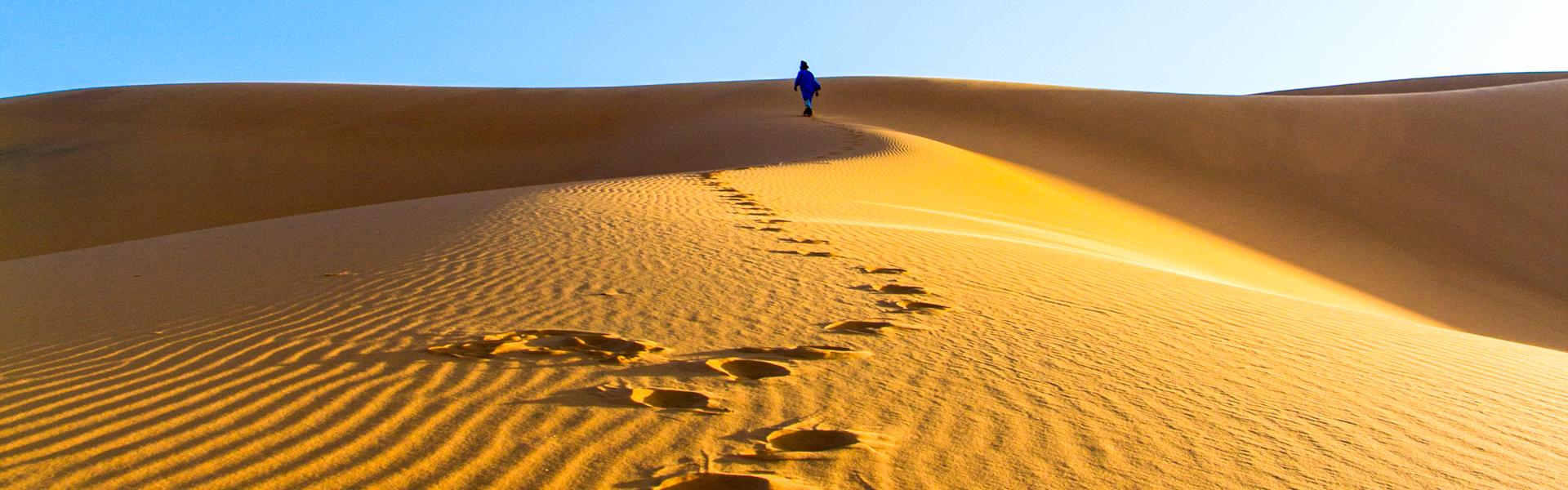 Sahara Wste |  erosera, iStockphoto.com / Chamleon
