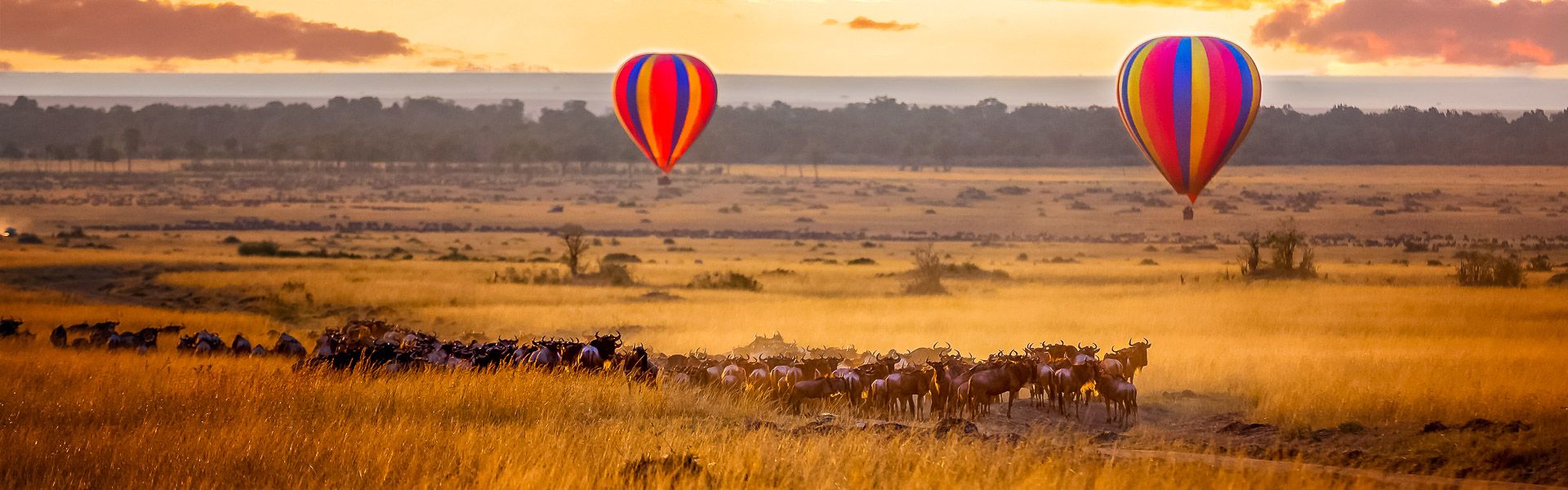 Sonnenaufgang in der Masai Mara mit Ballons und Gnuherde |  Rixipix, iStockphoto.com / Chamleon