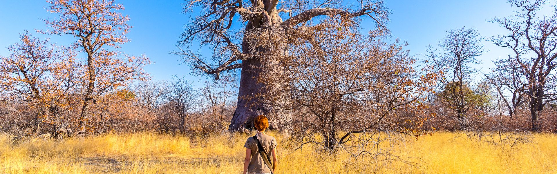 Frau luft in Richtung Baobab durch die Savanne |  Fabio Lamanna, iStockphoto.com / Chamleon