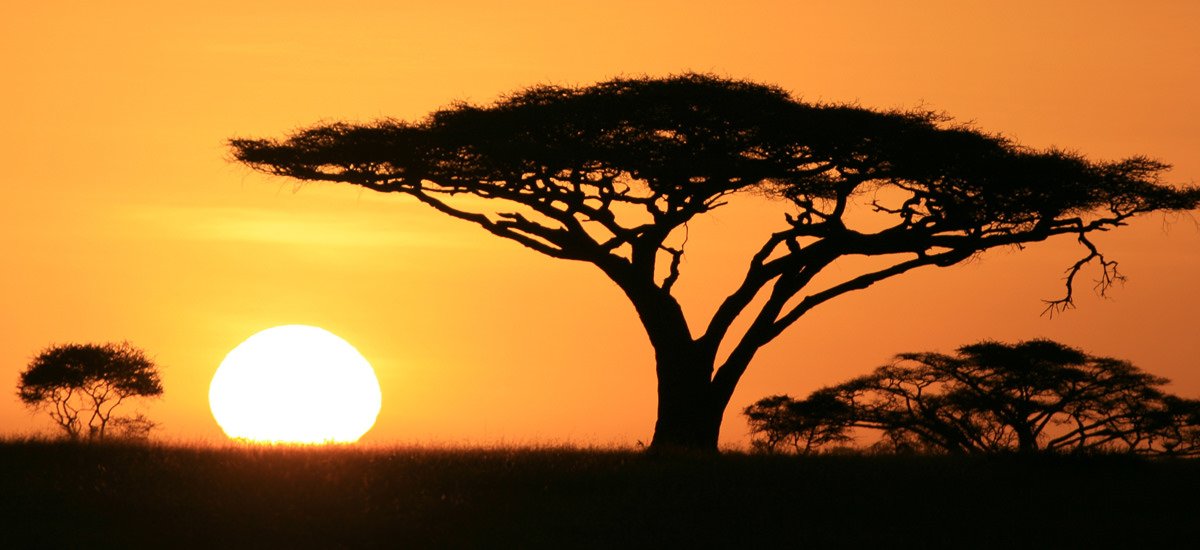  Tansania Serengeti Afrika Erlebnis-Reisen