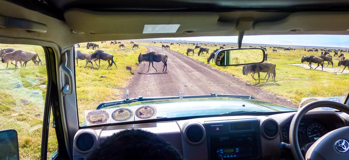  Tansania Serengeti Afrika Erlebnis-Reisen