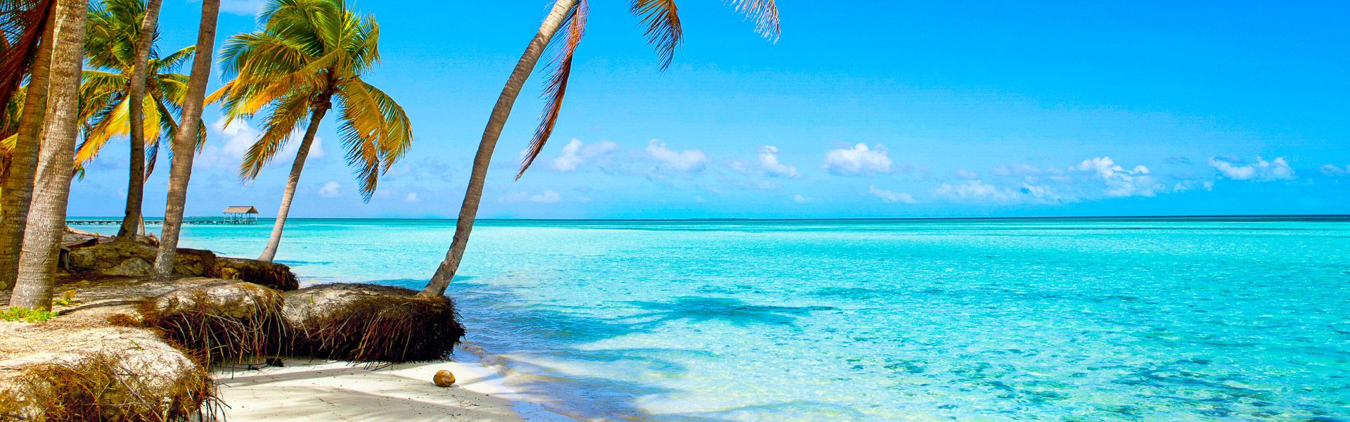 Tropischer Strand mit Palmen und trkisblauem Meer |  iStockphoto / Chamleon