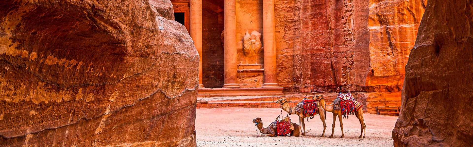 Kamele in Petra |  Kimberley Coole, Jordan Tourism Board / Chamleon