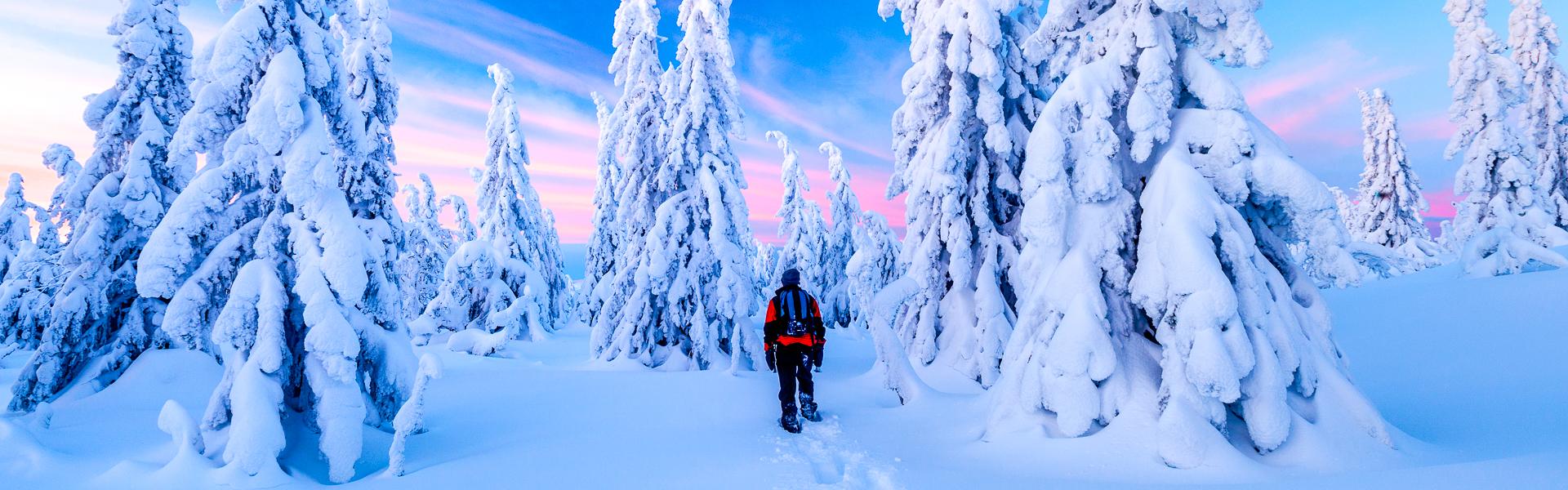 Traumhafte Winterlandschaft in Schweden |  Vidar Molkken, Visit Norway / Chamleon
