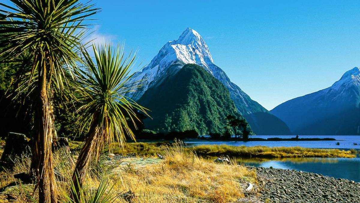 Blick auf den Mitre Peak am Milford Sound | © Dirk Bleyer / Chamäleon Blick auf den Mitre Peak am Milford Sound | © Dirk Bleyer / Chamäleon