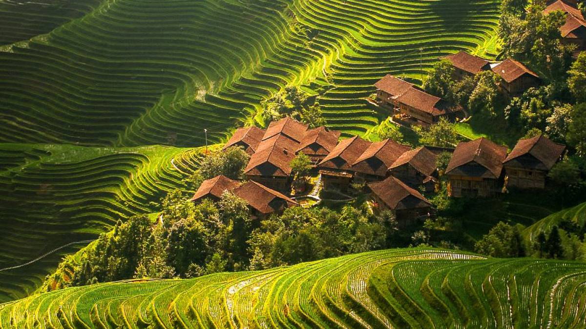 Reisterrassen von Longsheng | © China Tours / Chamäleon Reisterrassen von Longsheng | © China Tours / Chamäleon