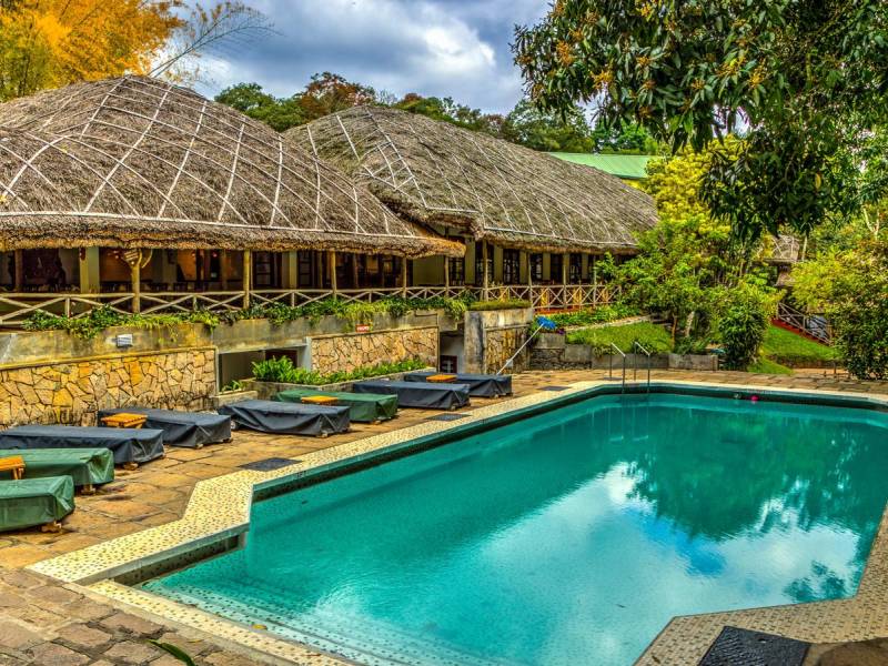Spice Village |  Spice Village / Chamleon