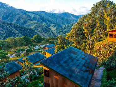 Lauraceas Lodge  |  Lauraceas Lodge / Chamleon