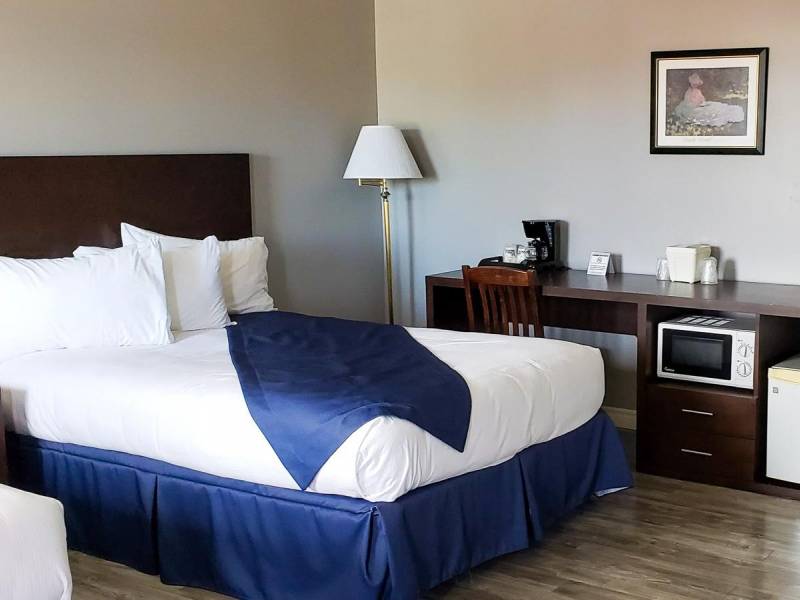 Hotel Fleurs de Lys |  Hotel Fleurs de Lys / Chamleon